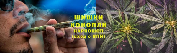 индика Лихославль