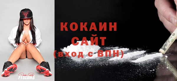 индика Лихославль