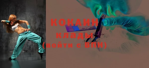 индика Лихославль