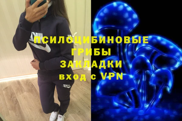 индика Лихославль