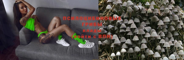 спайс Липки