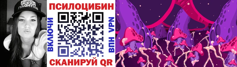 Купить  Костомукша  Галлюциногенные грибы прущие грибы 